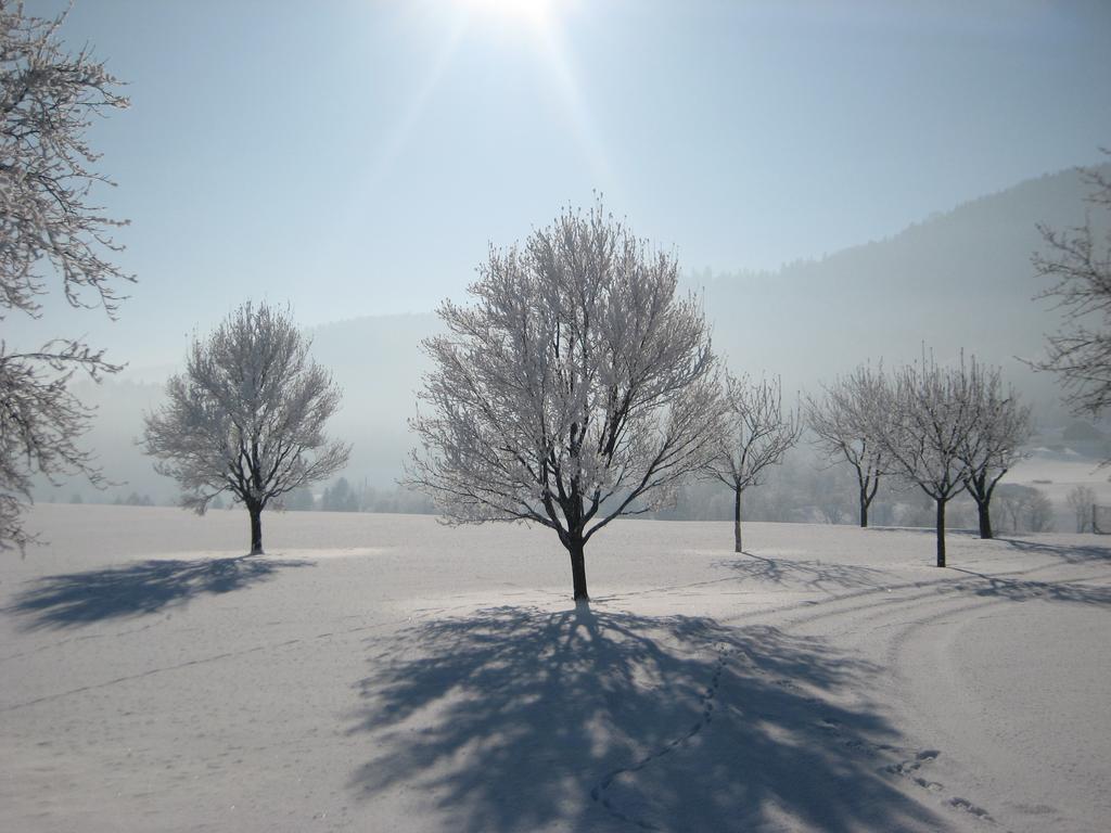 Penzion Kreuzinger, 5310 Tiefgraben
