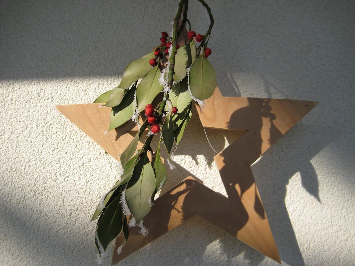 Kreuzinger, 5310 Penzion *
