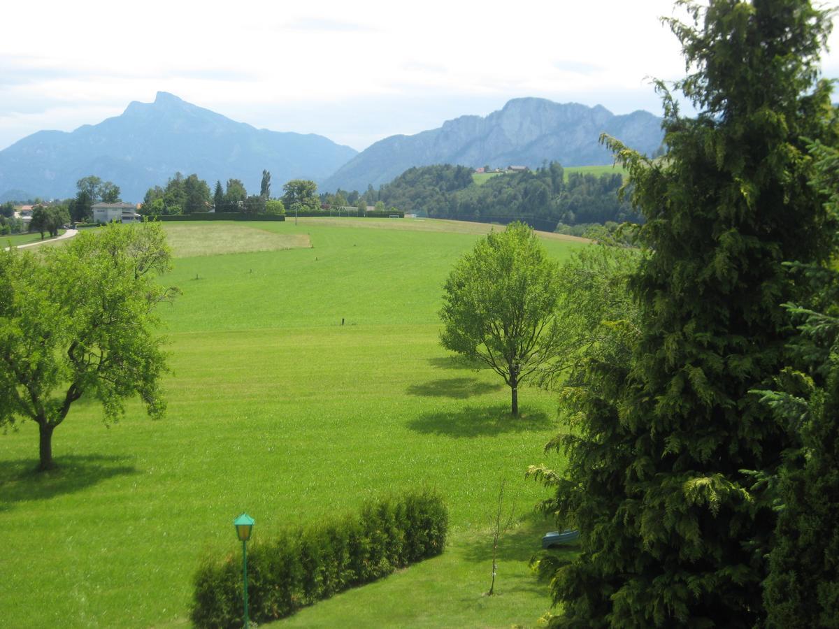 Kreuzinger, 5310